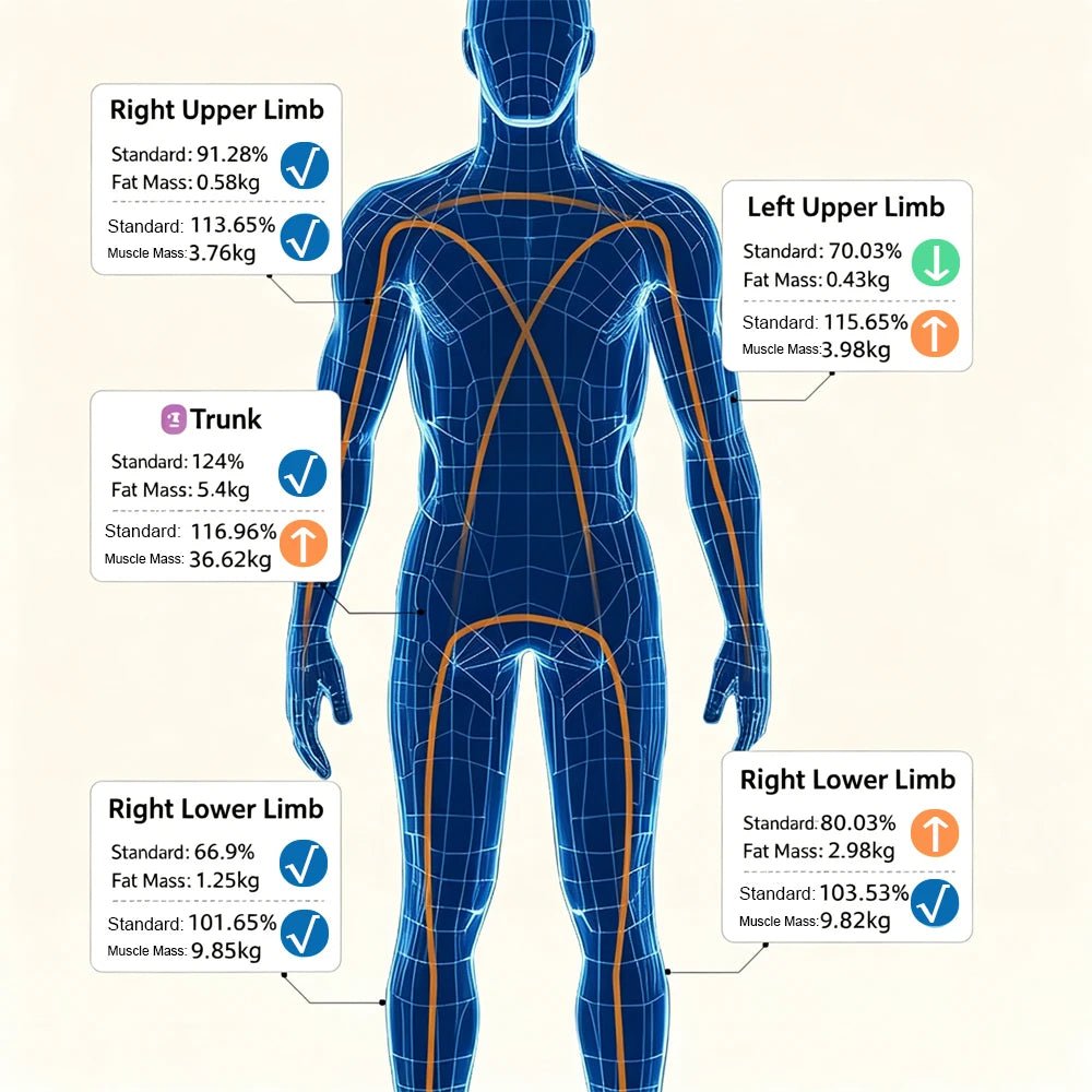 Smart Full Body Composition Scale